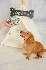 株式会社ｅａｓｅのプレスリリース画像1