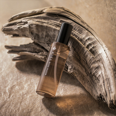 株式会社エクウスのプレスリリース画像2