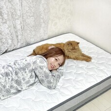 コイズミファニテック株式会社のプレスリリース画像20