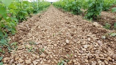 株式会社キングジャパンのプレスリリース画像4