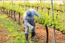 株式会社キングジャパンのプレスリリース画像1