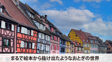 株式会社キングジャパンのプレスリリース画像1