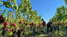 株式会社キングジャパンのプレスリリース画像2