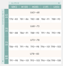 株式会社B.Cのプレスリリース画像5