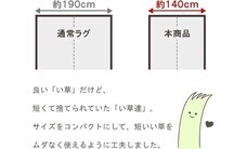 株式会社イケヒコ・コーポレーションのプレスリリース画像2