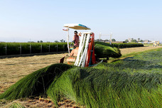 株式会社イケヒコ・コーポレーションのプレスリリース画像14