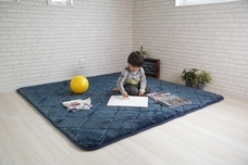 株式会社イケヒコ・コーポレーションのプレスリリース画像2