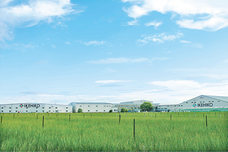 株式会社イケヒコ・コーポレーションのプレスリリース画像5