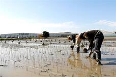 株式会社イケヒコ・コーポレーションのプレスリリース画像2