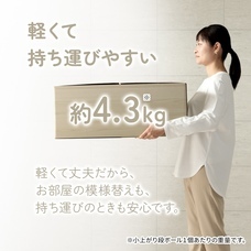 株式会社イケヒコ・コーポレーションのプレスリリース画像2