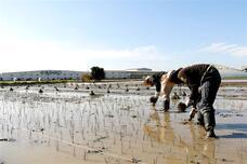 株式会社イケヒコ・コーポレーションのプレスリリース画像2