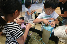 株式会社イケヒコ・コーポレーションのプレスリリース画像7