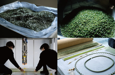 株式会社イケヒコ・コーポレーションのプレスリリース画像1