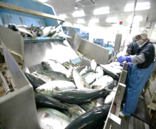 一般財団法人 食品分析開発センターSUNATECのプレスリリース画像2