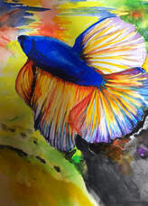 一般社団法人キャンバスのプレスリリース画像6