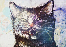 一般社団法人キャンバスのプレスリリース画像2