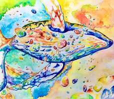 一般社団法人キャンバスのプレスリリース画像1