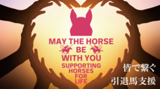 有限会社シヤのプレスリリース画像11