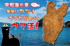 有限会社シヤのプレスリリース画像1