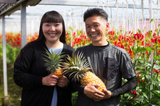 Mellow Pineのプレスリリース画像1