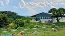 TOKYO FARM VILLAGEのプレスリリース画像4