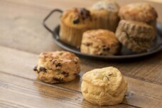 TOKYO FARM VILLAGEのプレスリリース画像8