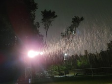 ”森のオペラショウ「かるてっと♪」会場にみんなの願いと祈りのサマーツリーを設置したいのプレスリリース画像2