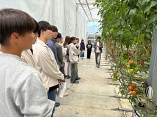 株式会社ゼブラグリーンズのプレスリリース画像1