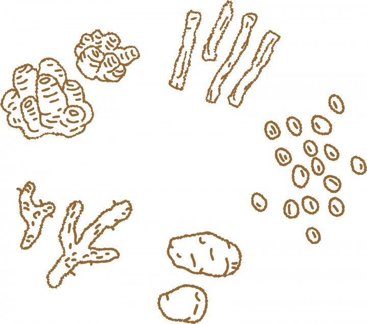 株式会社フォーチュンのプレスリリース画像1