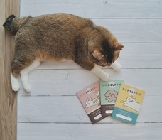 株式会社nancocoのプレスリリース画像17