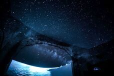 観光開発株式会社　三段壁洞窟のプレスリリース画像6