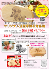 有限会社　ビッグバンのプレスリリース画像1