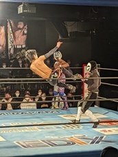 株式会社カーベルのプレスリリース画像2