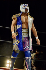 株式会社カーベルのプレスリリース画像4