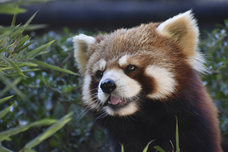 株式会社カーベルのプレスリリース画像2