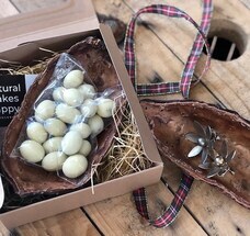 株式会社 OCA OKINAWAのプレスリリース画像1