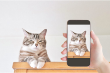 Daydream Labのプレスリリース画像7