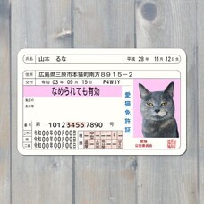 Daydream Labのプレスリリース画像2