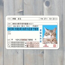 Daydream Labのプレスリリース画像1