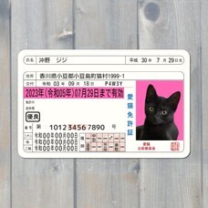 Daydream Labのプレスリリース画像3