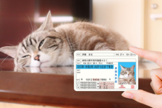 Daydream Labのプレスリリース画像5