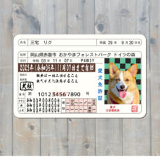 Daydream Labのプレスリリース画像6