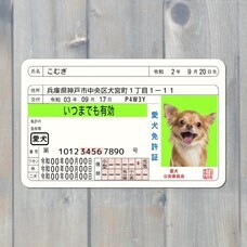 Daydream Labのプレスリリース画像2