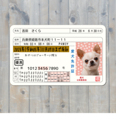 Daydream Labのプレスリリース画像3