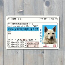 Daydream Labのプレスリリース画像4