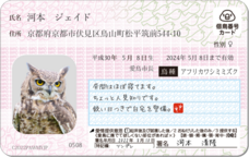 Daydream Labのプレスリリース画像15