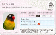 Daydream Labのプレスリリース画像12