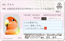 Daydream Labのプレスリリース画像14