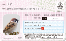 Daydream Labのプレスリリース画像8