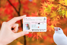 Daydream Labのプレスリリース画像1